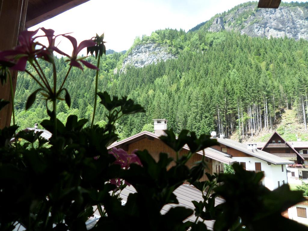Affittacamere Pizzeria Marmolada Rocca Pietore Kültér fotó