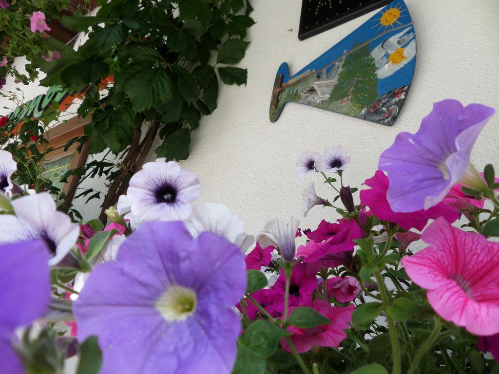 Affittacamere Pizzeria Marmolada Rocca Pietore Kültér fotó